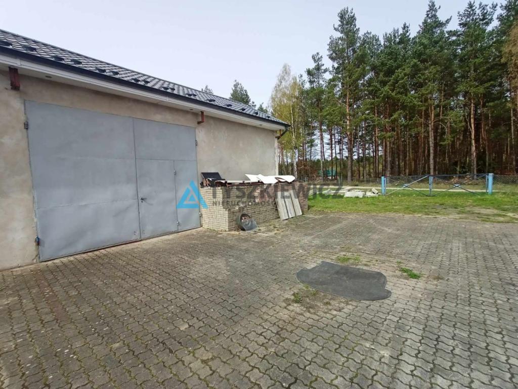 Biuro i magazyn na wynajem - Studzienice - zdjęcie 5