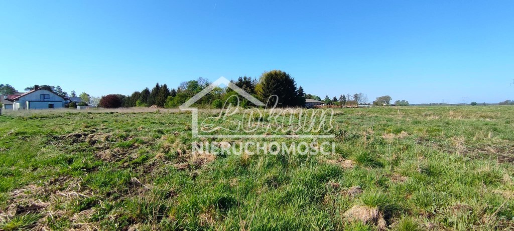 Działka budowlana 1134 m², Modrzewie - zdjęcie 8