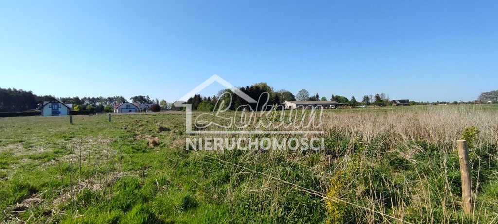 Działka budowlana 1134&nbsp;m², Modrzewie - zdjęcie 1