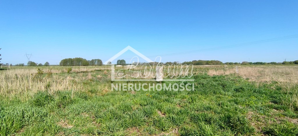 Działka budowlana 1134 m², Modrzewie - zdjęcie 5