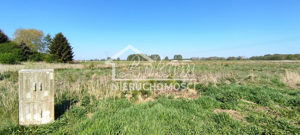 Działka budowlana 1134 m², Modrzewie - zdjęcie 2