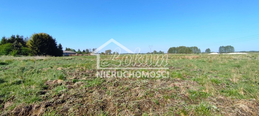 Działka budowlana 1134&nbsp;m², Modrzewie - zdjęcie 6