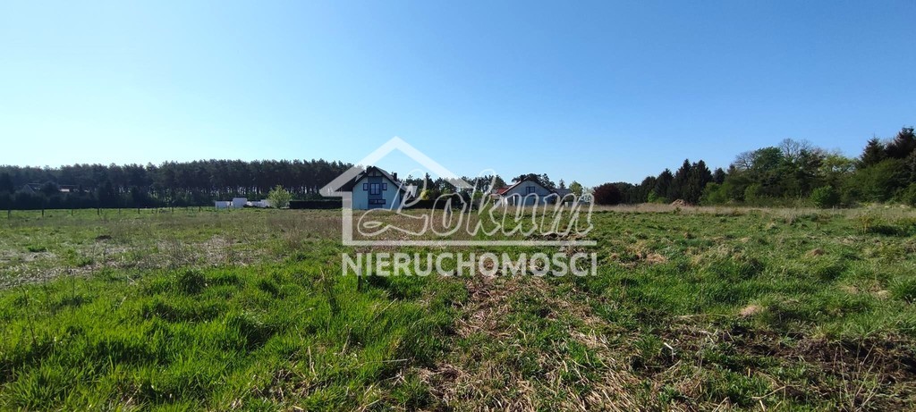 Działka budowlana 1134&nbsp;m², Modrzewie - zdjęcie 7
