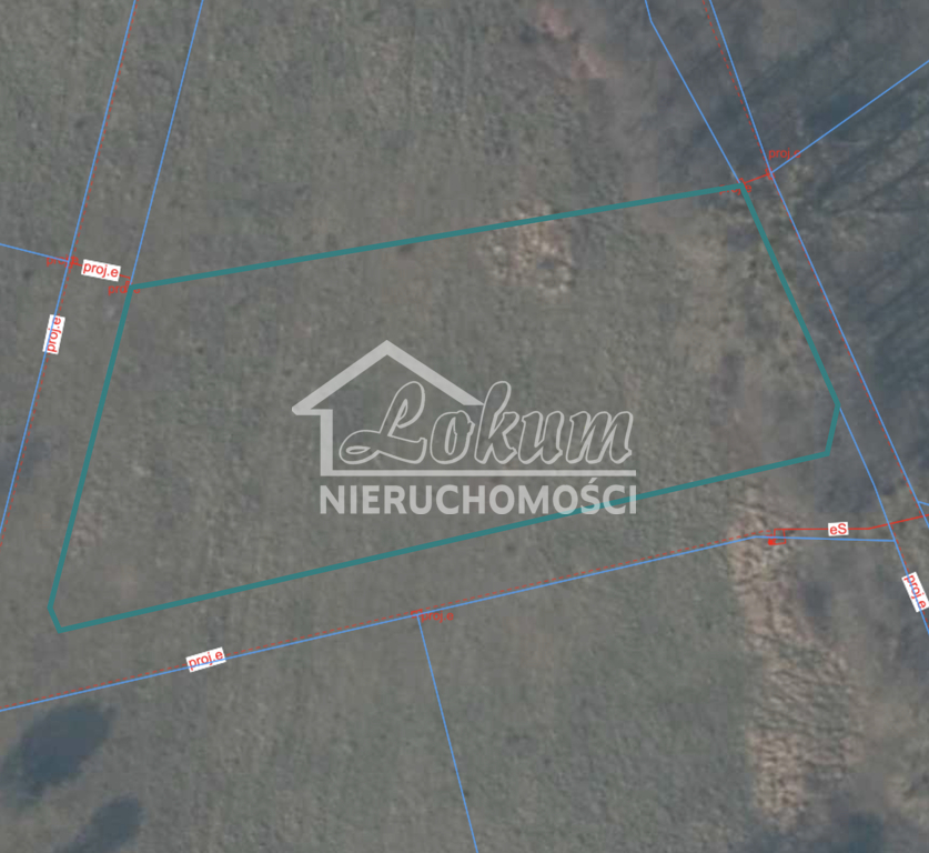 Działka budowlana 3235&nbsp;m², Brzózki - zdjęcie 1