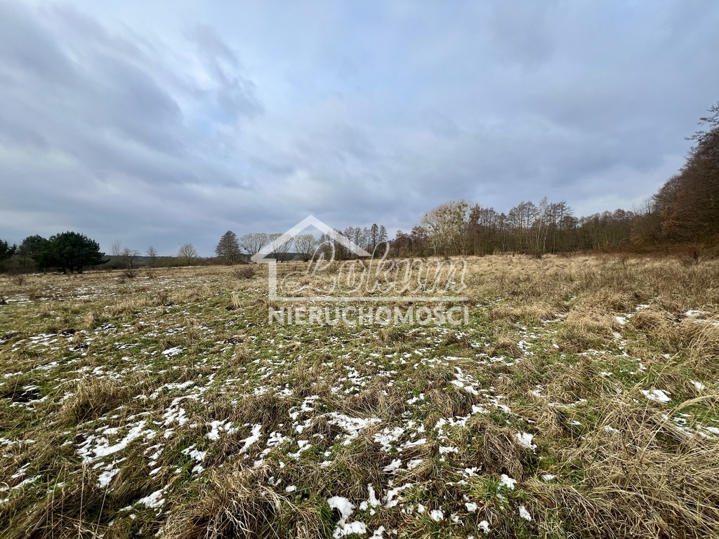 Działka budowlana 3023&nbsp;m², Brzózki - zdjęcie 5