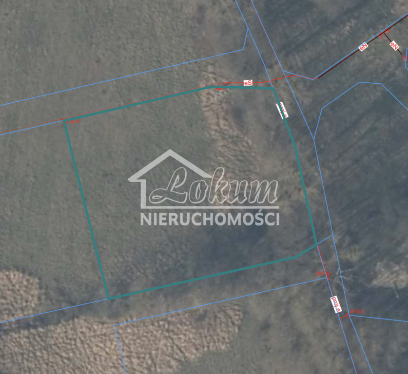 Działka budowlana 3023&nbsp;m², Brzózki - zdjęcie 1