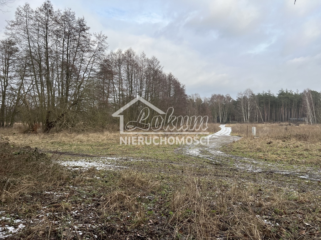 Działka budowlana 3023&nbsp;m², Brzózki - zdjęcie 8