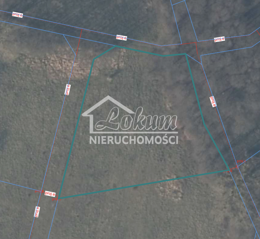 Działka budowlana 3181&nbsp;m², Brzózki - zdjęcie 1