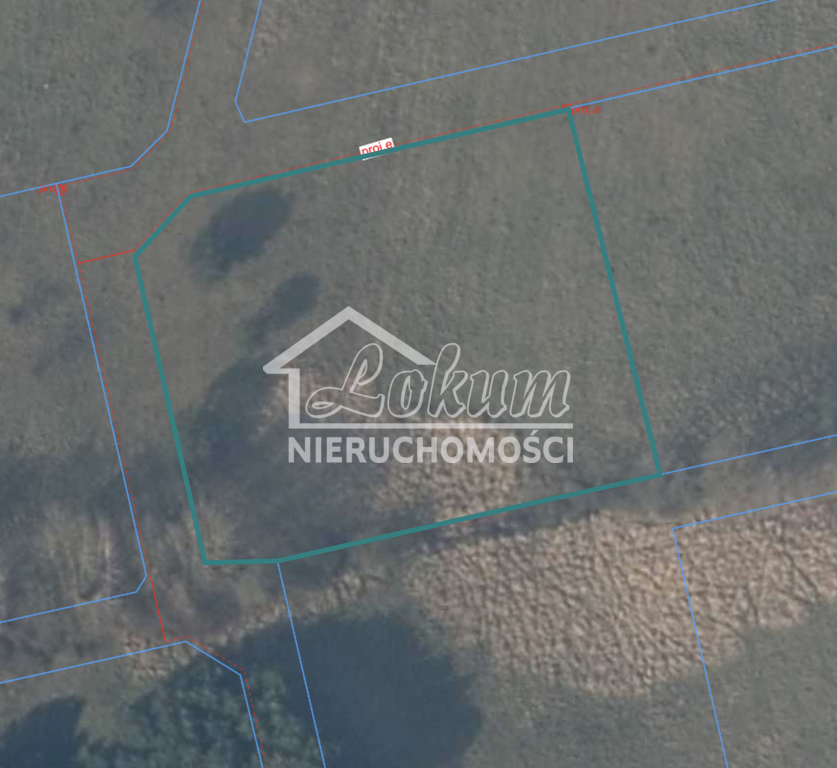 Działka budowlana 3128 m², Brzózki - zdjęcie 1