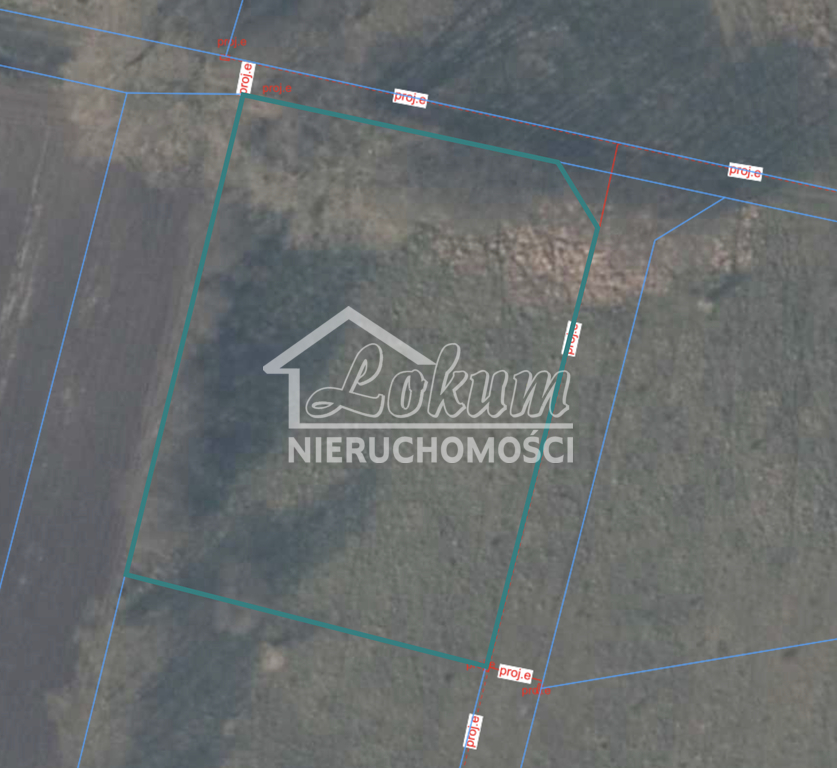 Działka budowlana 3405 m², Brzózki - zdjęcie 1