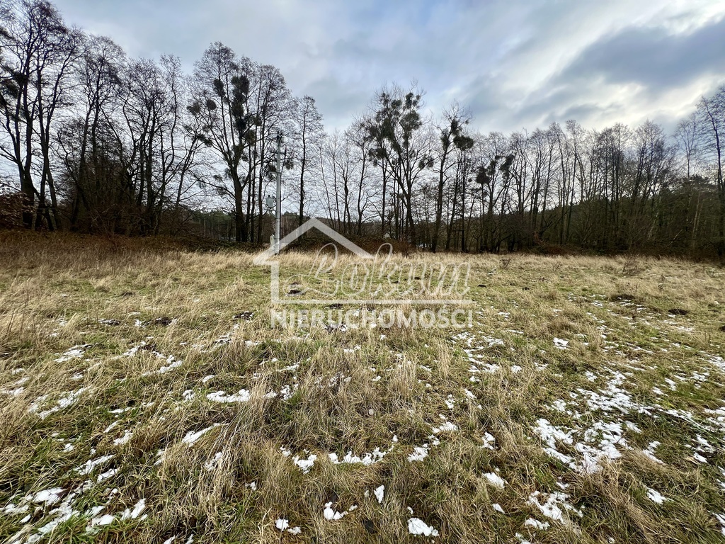 Działka budowlana 3405 m², Brzózki - zdjęcie 7