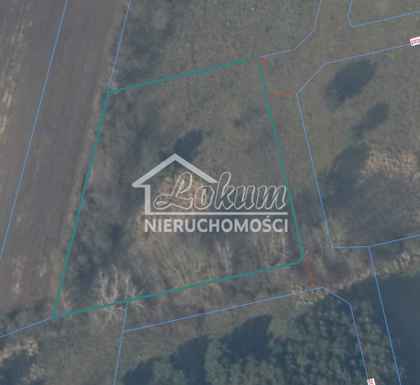 Działka budowlana 3115&nbsp;m², Brzózki - zdjęcie 1