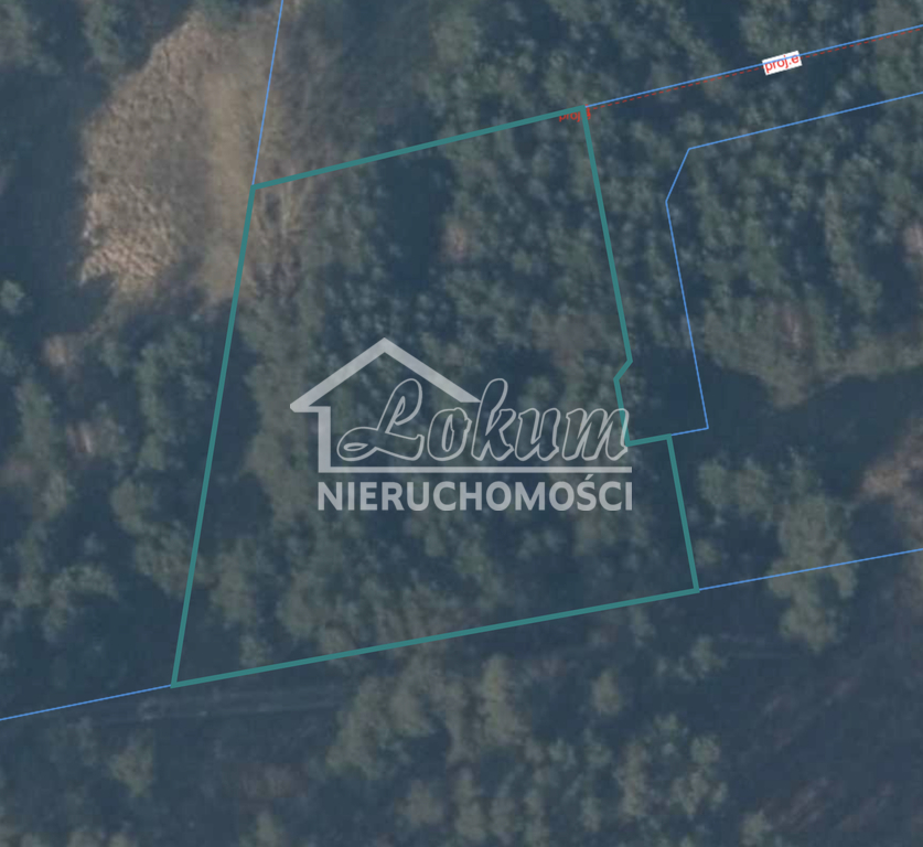 Działka rolna 3121&nbsp;m², Brzózki - zdjęcie 2