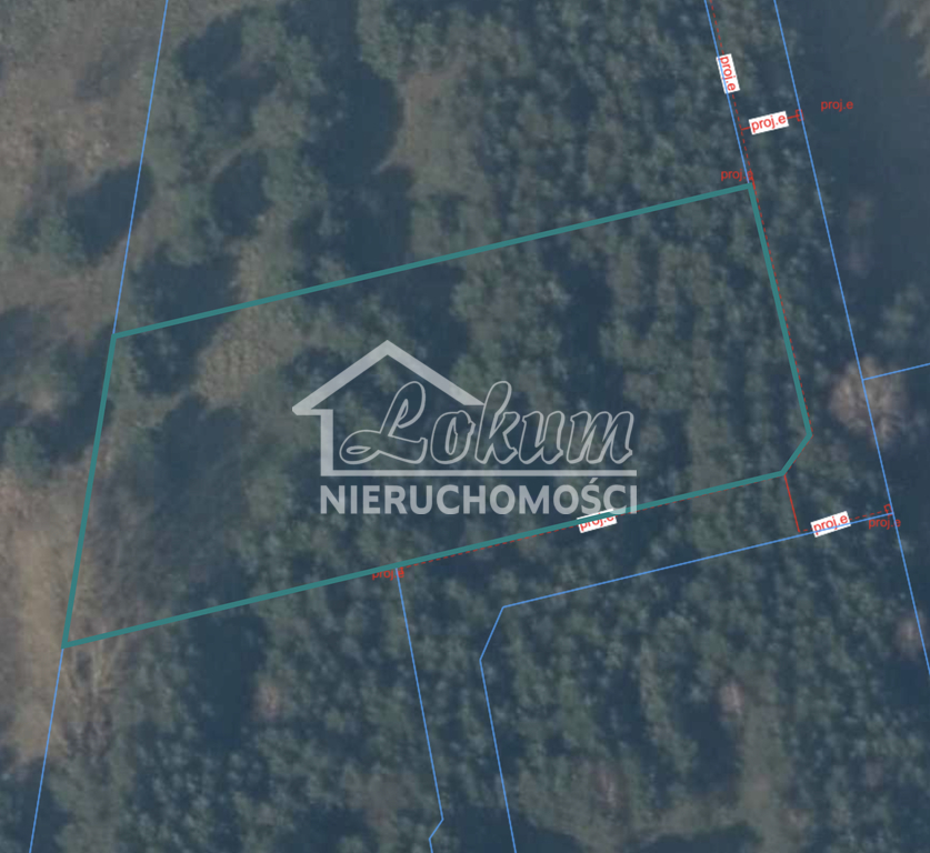 Działka rolna 3044&nbsp;m², Brzózki - zdjęcie 2