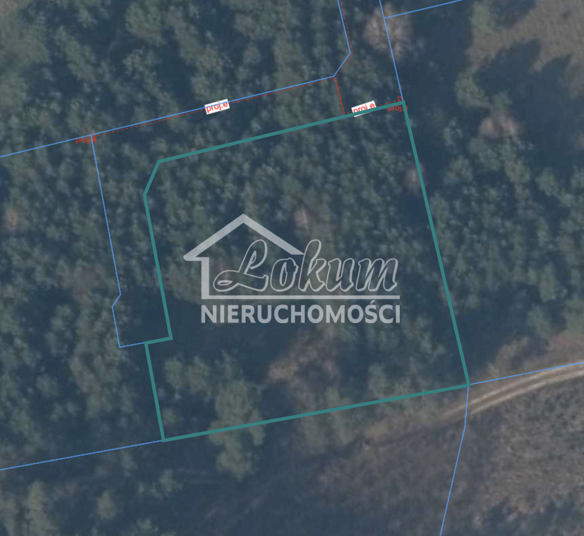 Działka rolna 3039&nbsp;m², Brzózki - zdjęcie 2