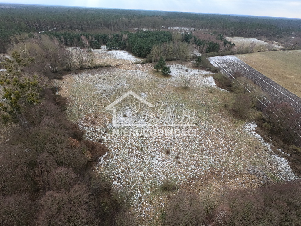 Działka rolna 3039&nbsp;m², Brzózki - zdjęcie 11