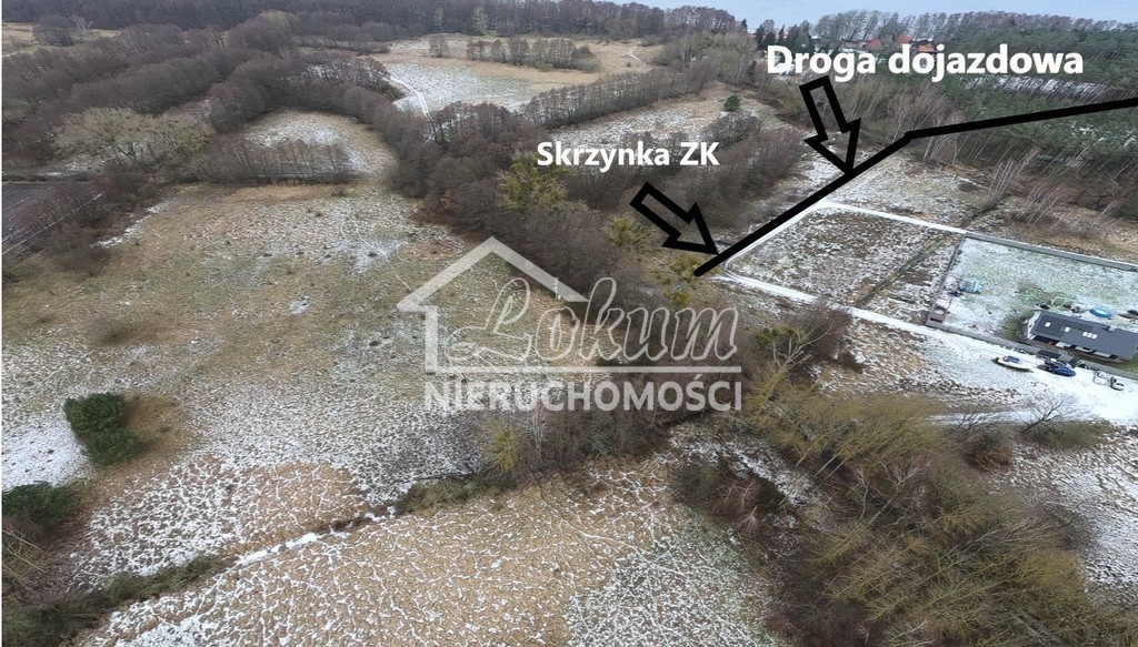 Działka rolna 3039&nbsp;m², Brzózki - zdjęcie 13