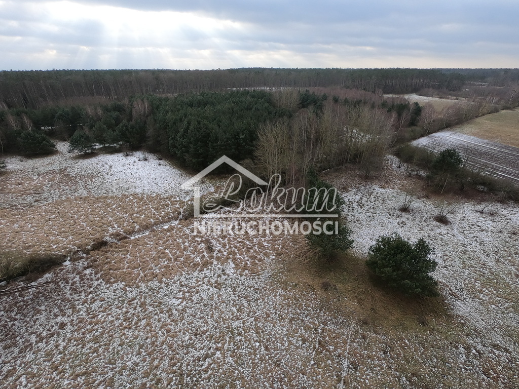 Działka rolna 3039&nbsp;m², Brzózki - zdjęcie 10