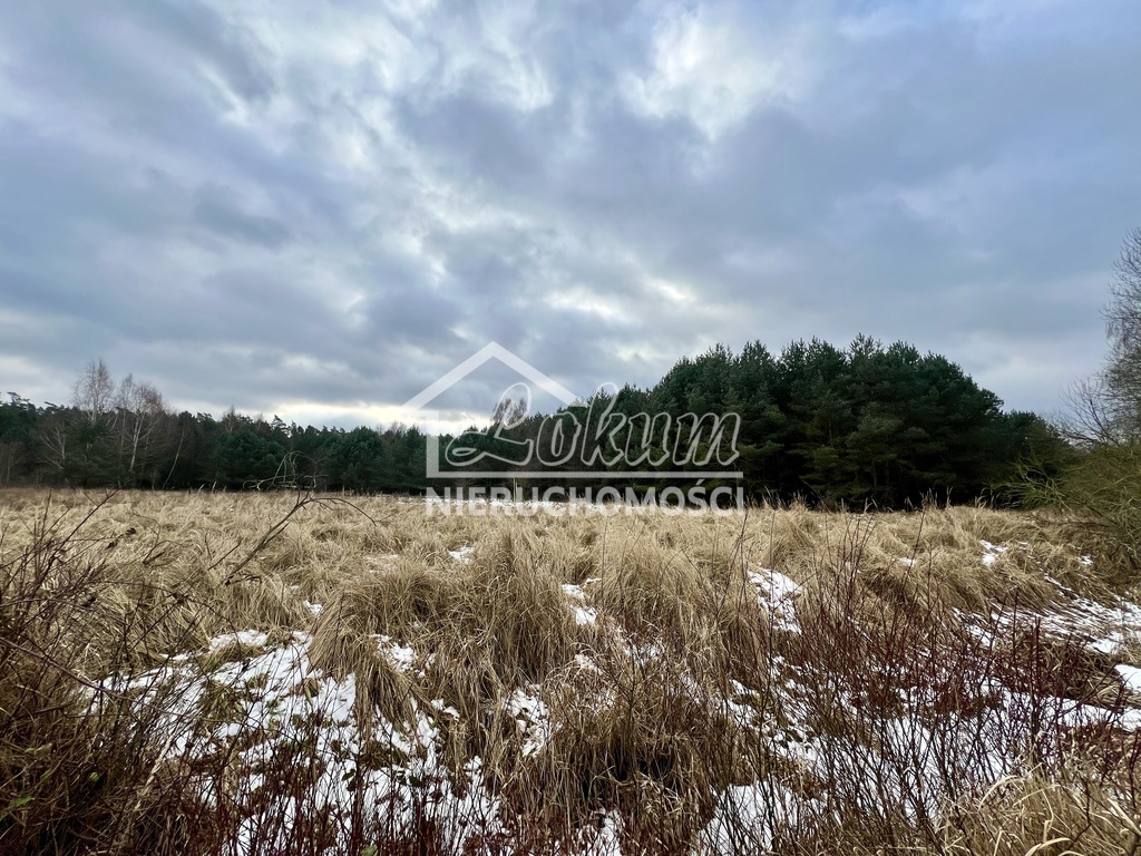 Działka rolna 3045&nbsp;m², Brzózki - zdjęcie 5