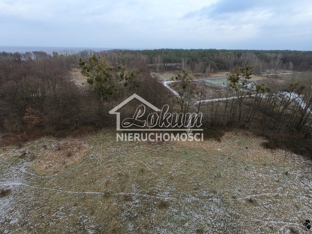 Działka rolna 3045&nbsp;m², Brzózki - zdjęcie 9