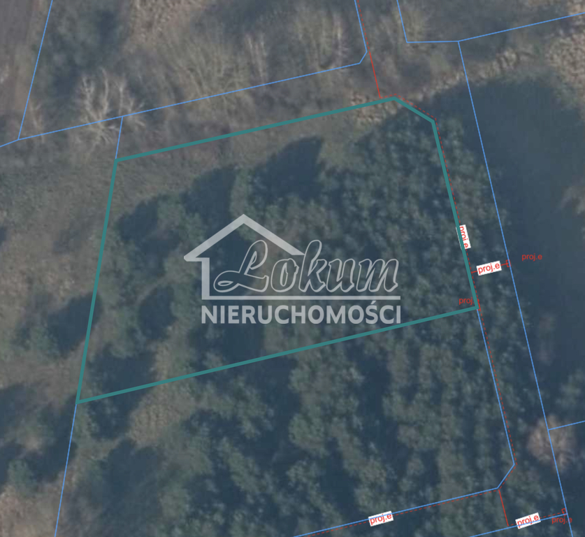 Działka rolna 3045&nbsp;m², Brzózki - zdjęcie 2