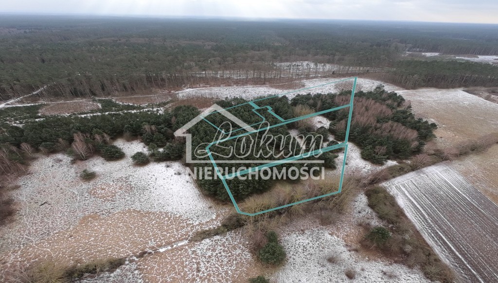 Działka rolna 3045&nbsp;m², Brzózki - zdjęcie 12