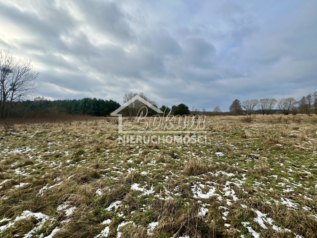 Działka rolna 3045&nbsp;m², Brzózki - zdjęcie 6