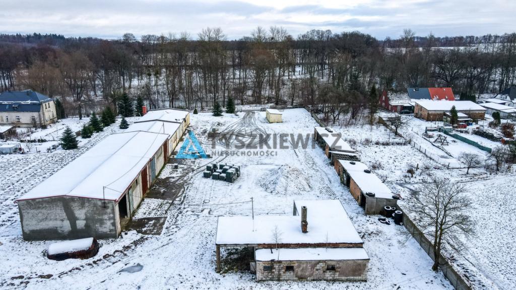 Obiekt usługowy - do własnej adaptacji - zdjęcie 9