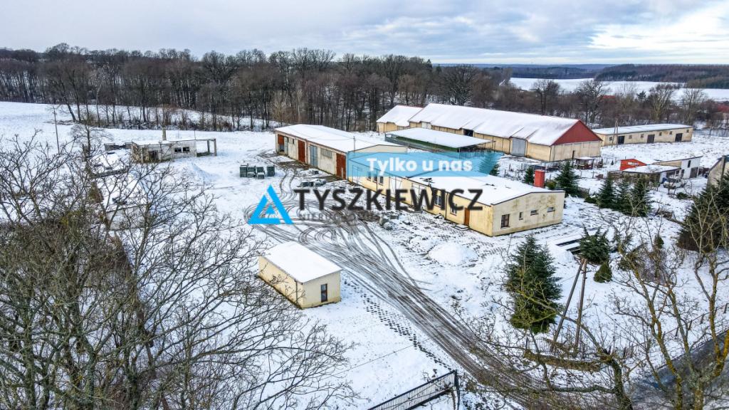 Obiekt usługowy - do własnej adaptacji - zdjęcie 1