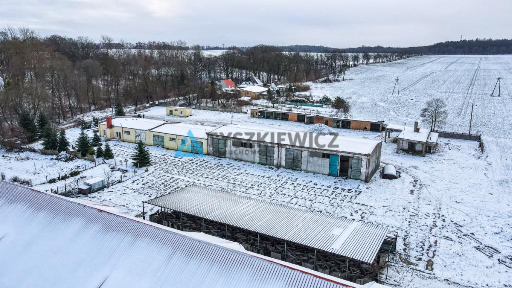 Obiekt usługowy - do własnej adaptacji - zdjęcie 10