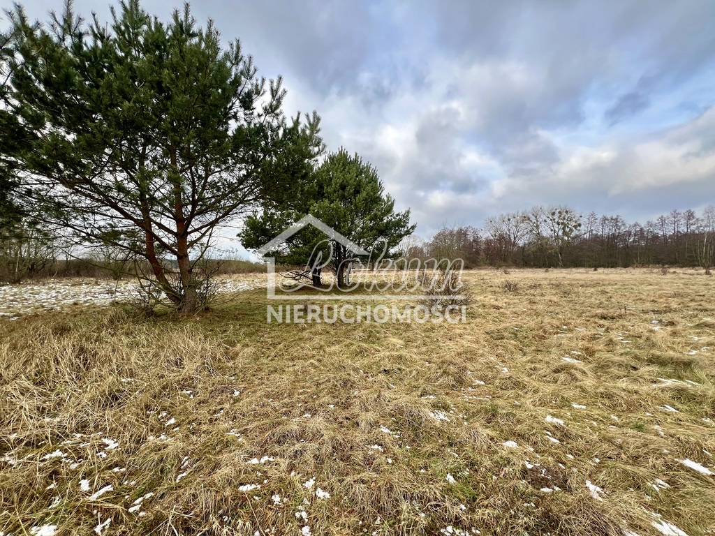 Działka rolna 3,45&nbsp;ha, Brzózki - zdjęcie 7