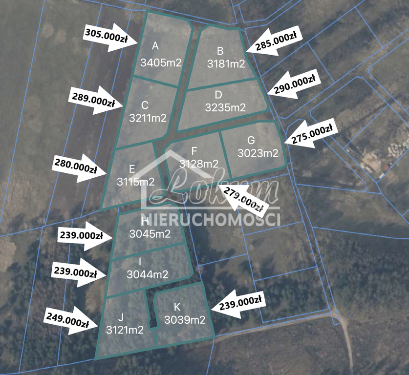 Działka rolna 3,45&nbsp;ha, Brzózki - zdjęcie 1