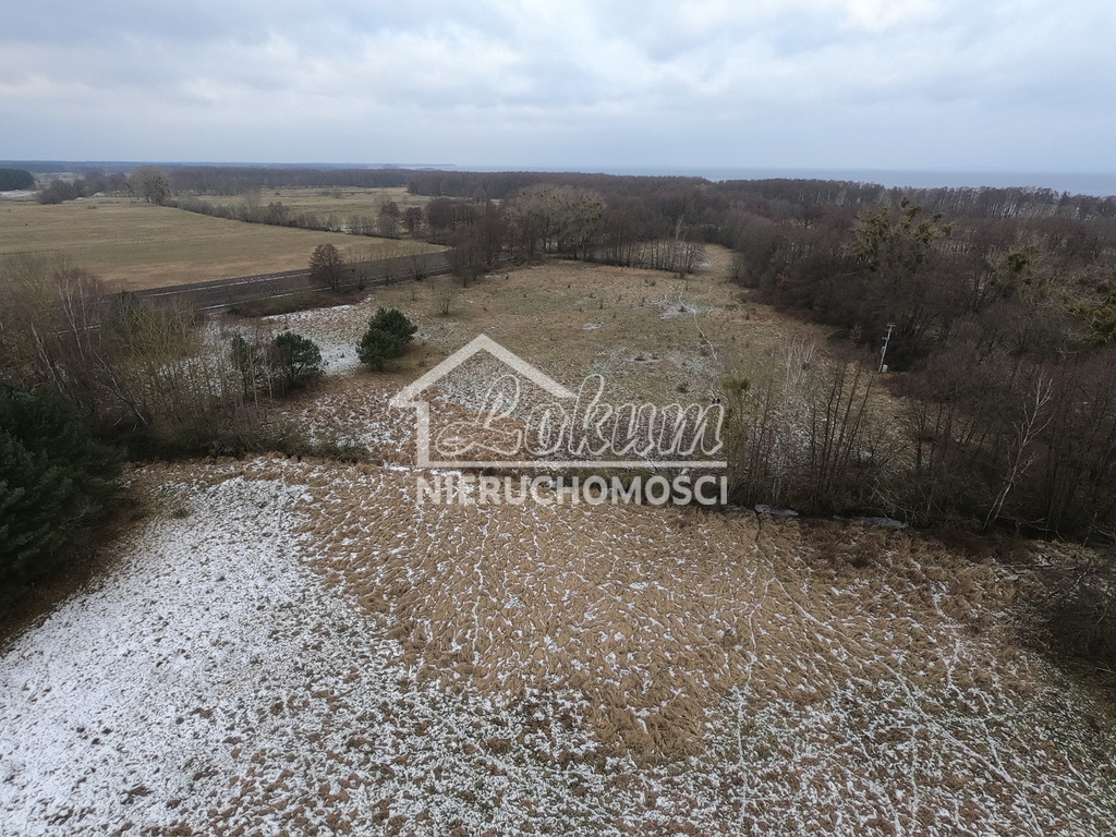 Działka rolna 3,45&nbsp;ha, Brzózki - zdjęcie 10