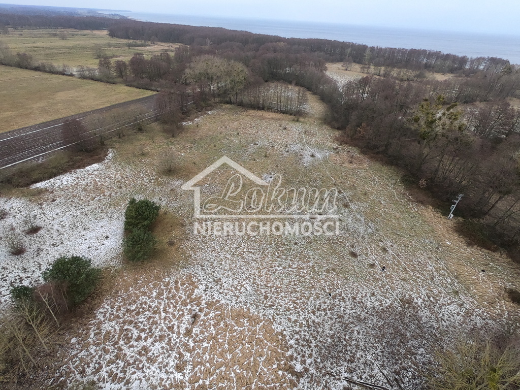 Działka rolna 3,45&nbsp;ha, Brzózki - zdjęcie 9