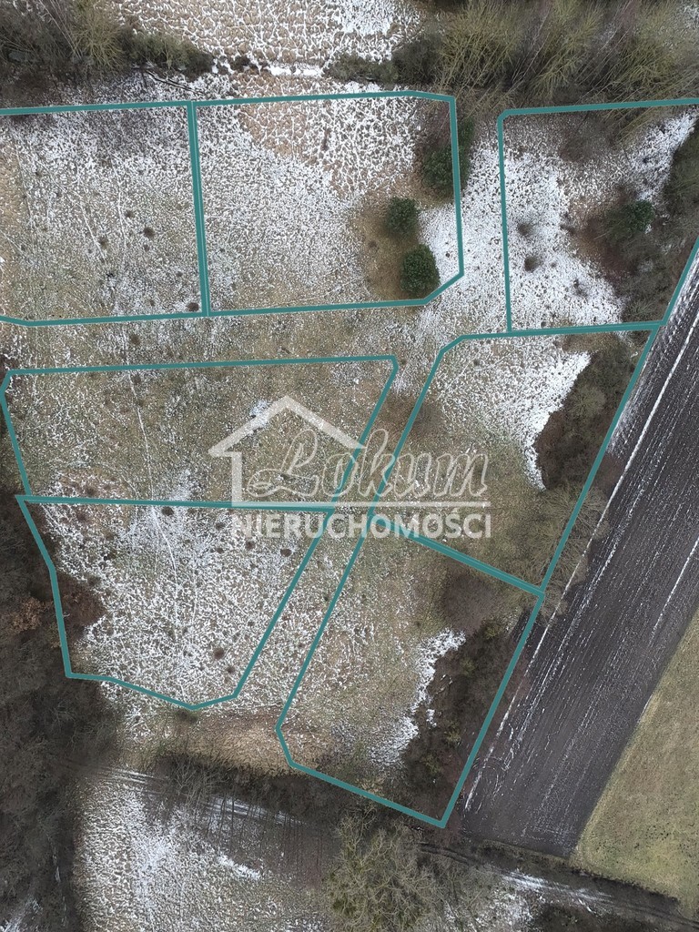 Działka rolna 3,45&nbsp;ha, Brzózki - zdjęcie 16