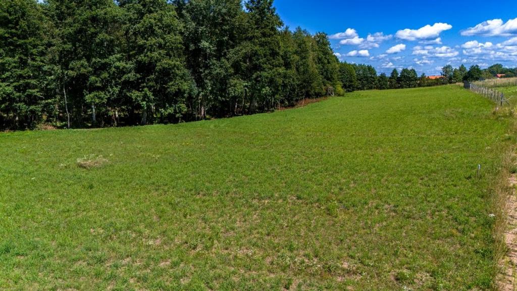 Działka budowlana 3870 m², Bogacko - zdjęcie 9