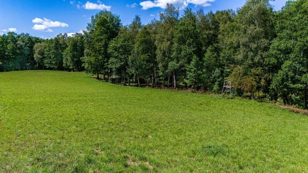 Działka budowlana 3870 m², Bogacko - zdjęcie 8