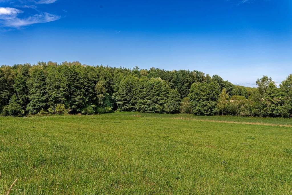 Działka budowlana 3870 m², Bogacko - zdjęcie 14