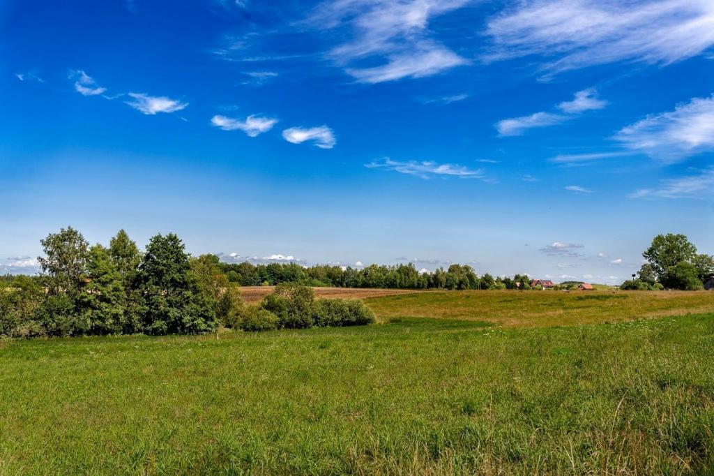 Działka budowlana 3870 m², Bogacko - zdjęcie 15