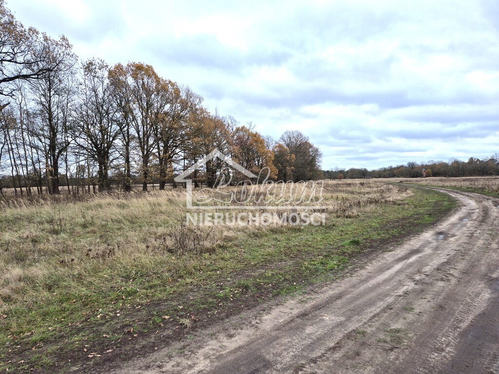 Działka rolna 3060&nbsp;m², Łęgi - zdjęcie 1