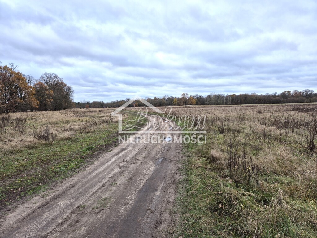 Działka rolna 3060&nbsp;m², Łęgi - zdjęcie 3