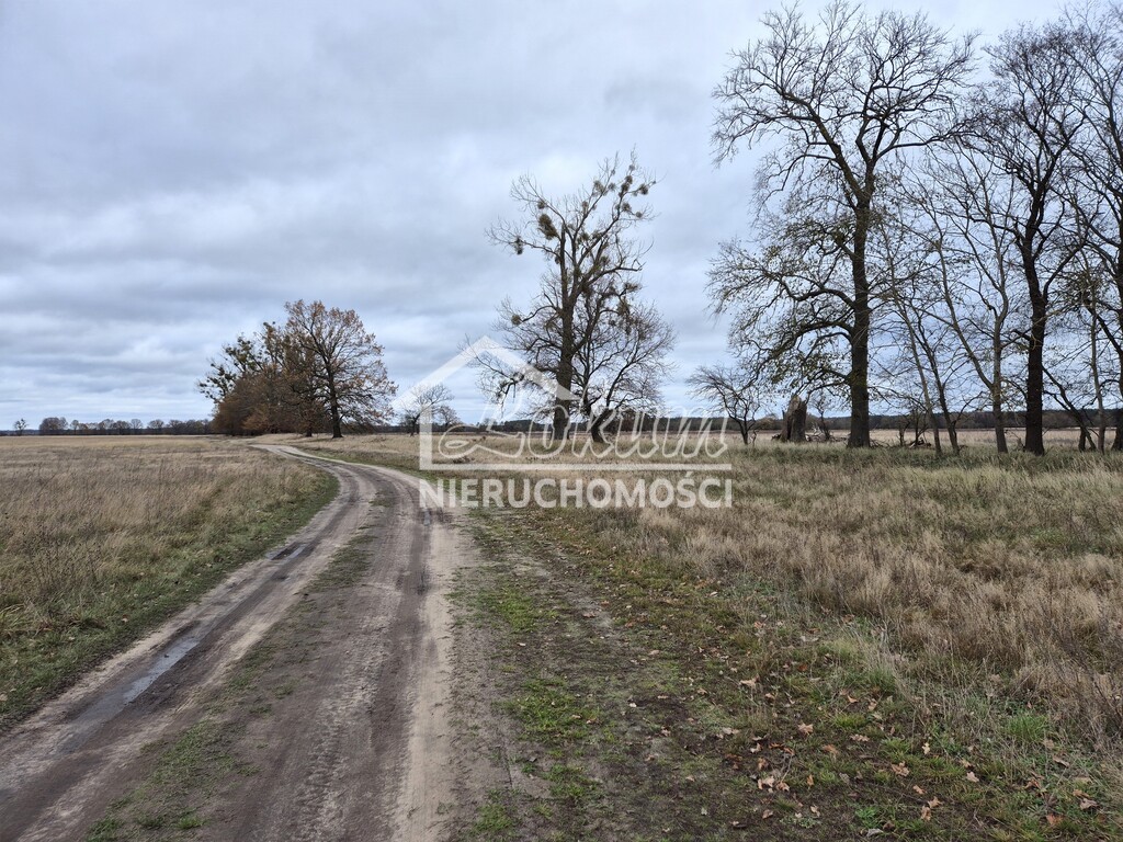 Działka rolna 3060&nbsp;m², Łęgi - zdjęcie 2