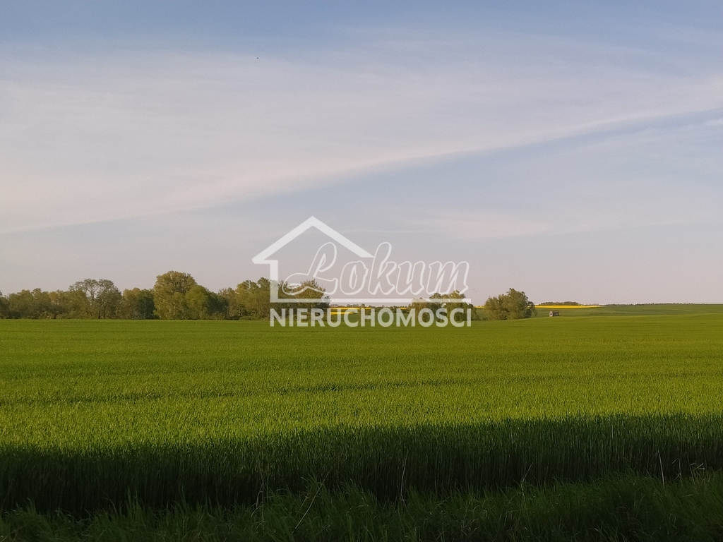 Działka budowlana 1743 m², Recz - zdjęcie 1