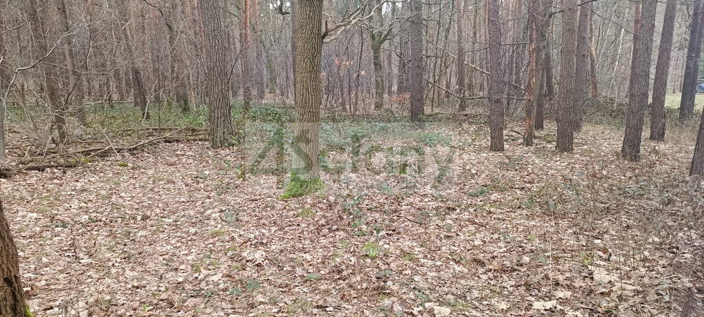 Działka budowlana 2103&nbsp;m², Sękocin-Las - zdjęcie 2