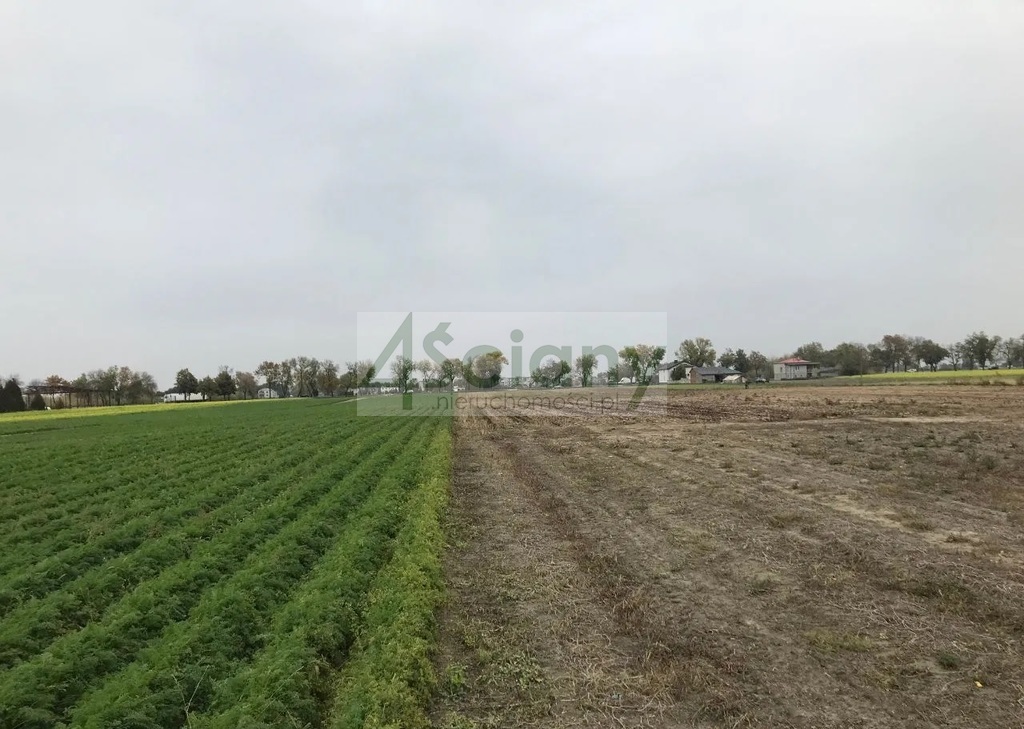 Działka inwestycyjna 5,74&nbsp;ha, Płochocin - zdjęcie 2