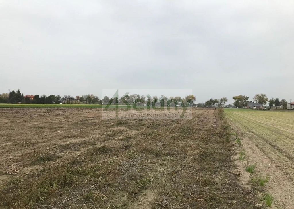 Działka inwestycyjna 5,74&nbsp;ha, Płochocin - zdjęcie 1