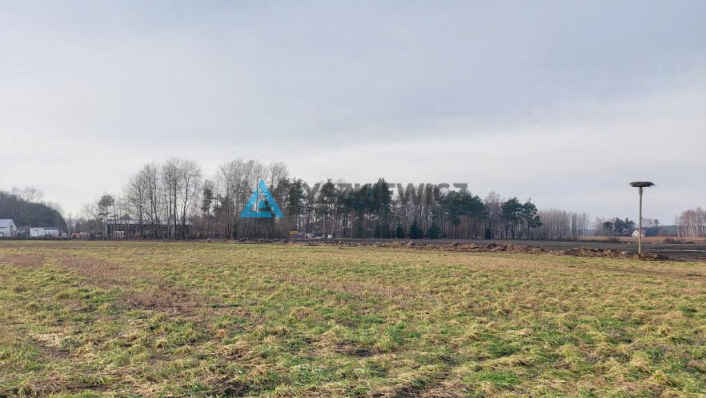 Działka mieszkaniowo-usługowa Bojano - zdjęcie 2
