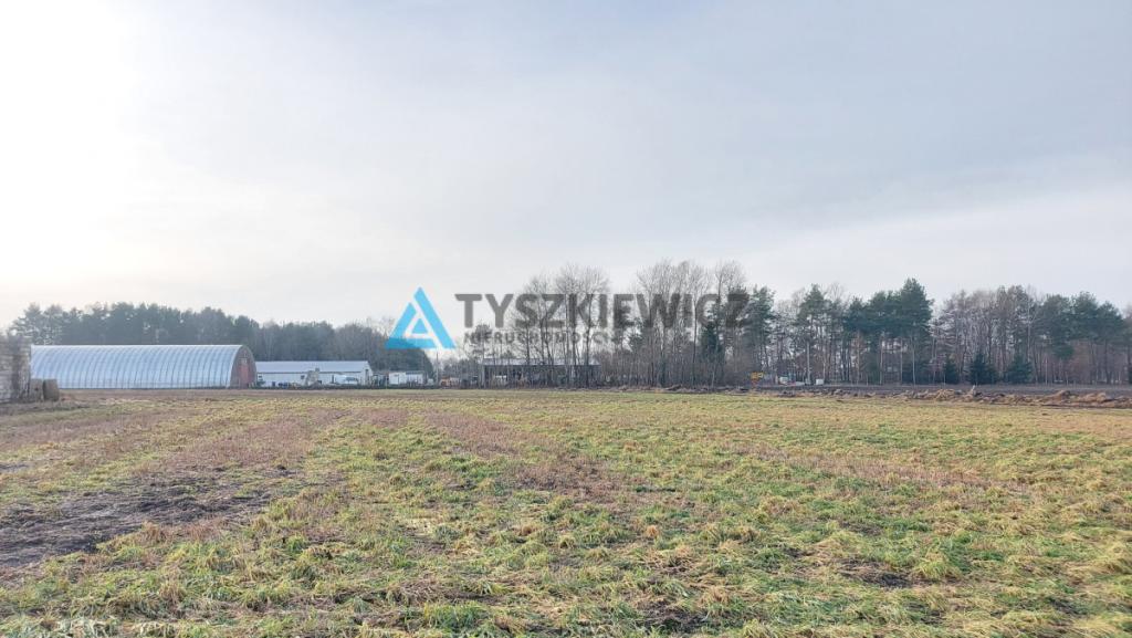 Działka mieszkaniowo-usługowa Bojano - zdjęcie 3