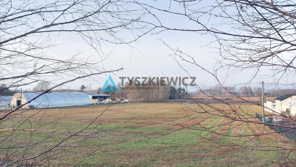 Działka produkcja, składy, magazyny, usługi Bojano - zdjęcie 4