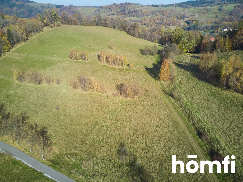 Działka budowlana 2119&nbsp;m², Walim, Kolonia Górna - zdjęcie 11